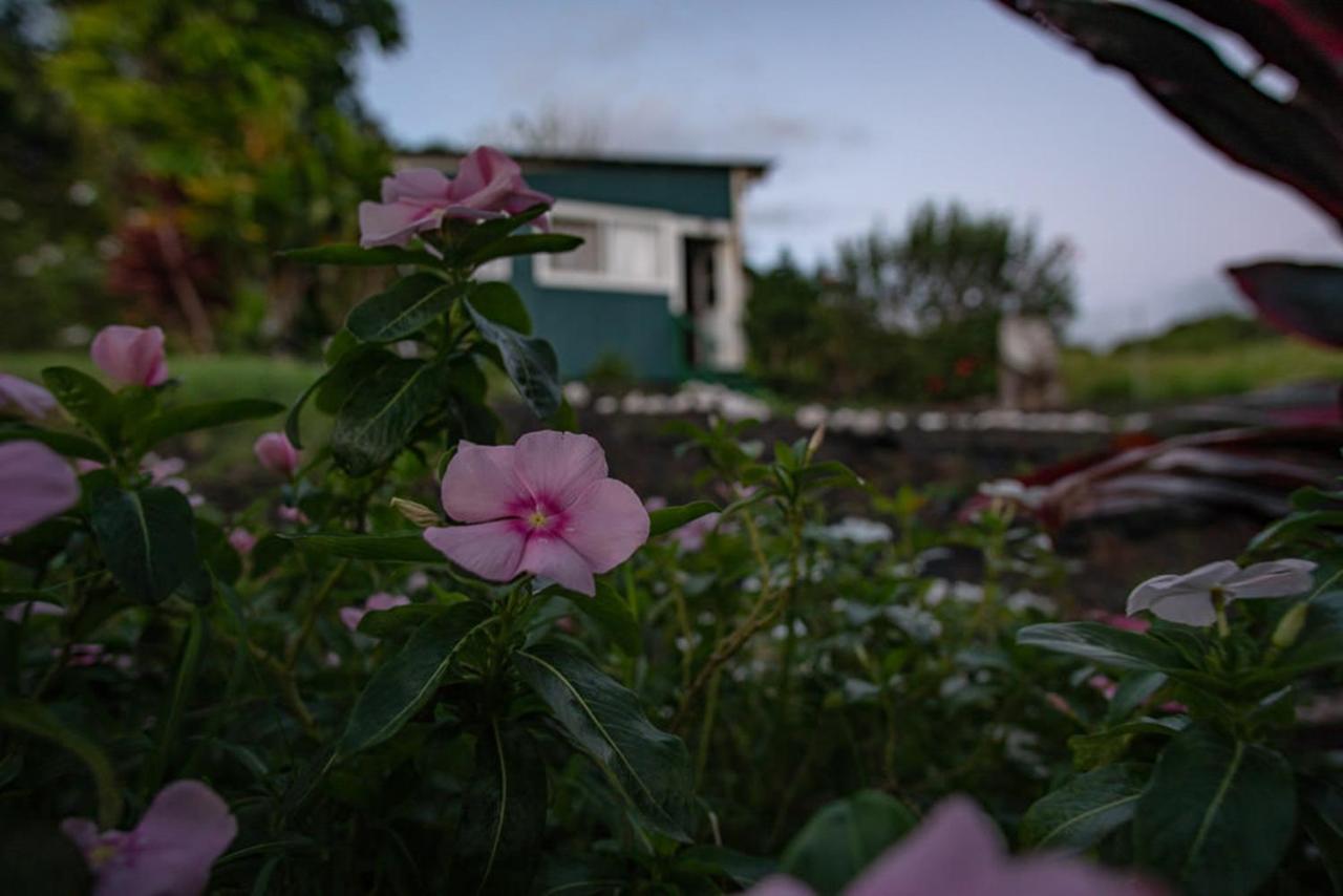 Makawao ゴッズ ピース オブ マウイ Bed & Breakfast エクステリア 写真